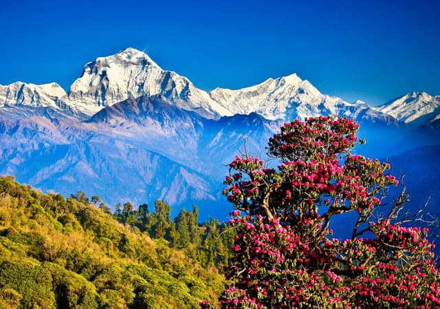 Top 12 Reasons to Visit Nepal in 2024